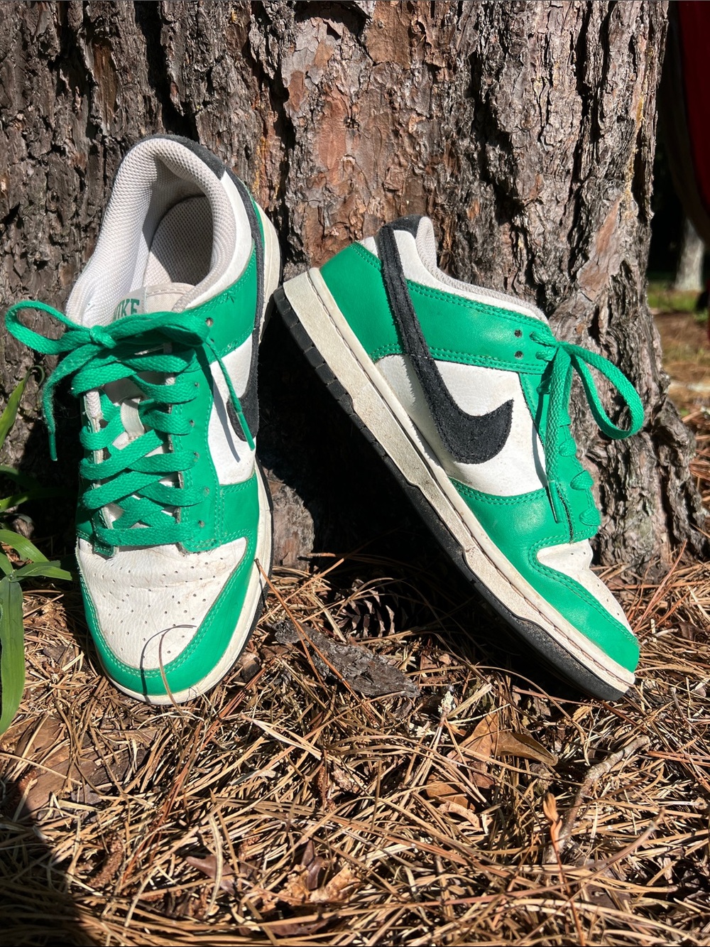 Nike Dunk Low Green and Black 7Y